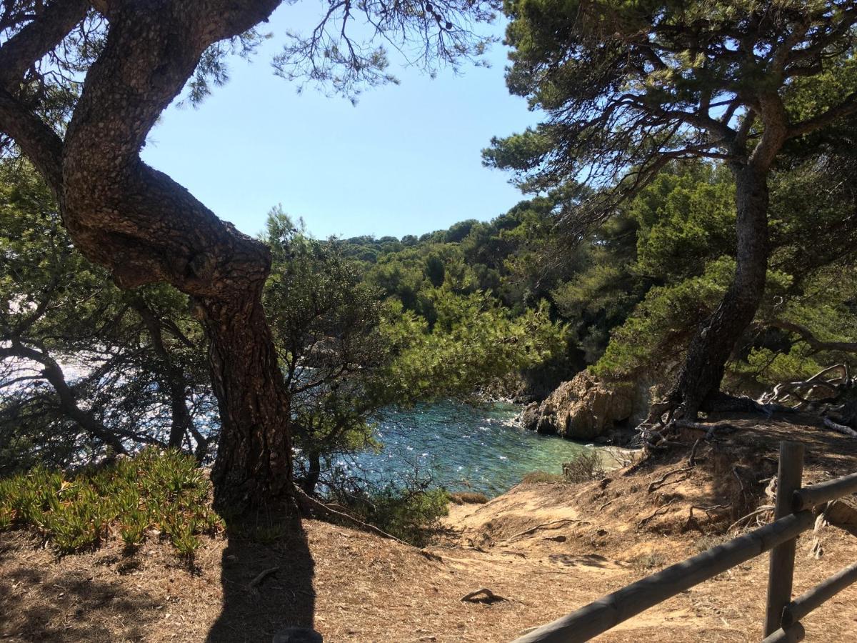 La Provence Authentique A 30 Minutes Des Plages Collobrières Eksteriør billede